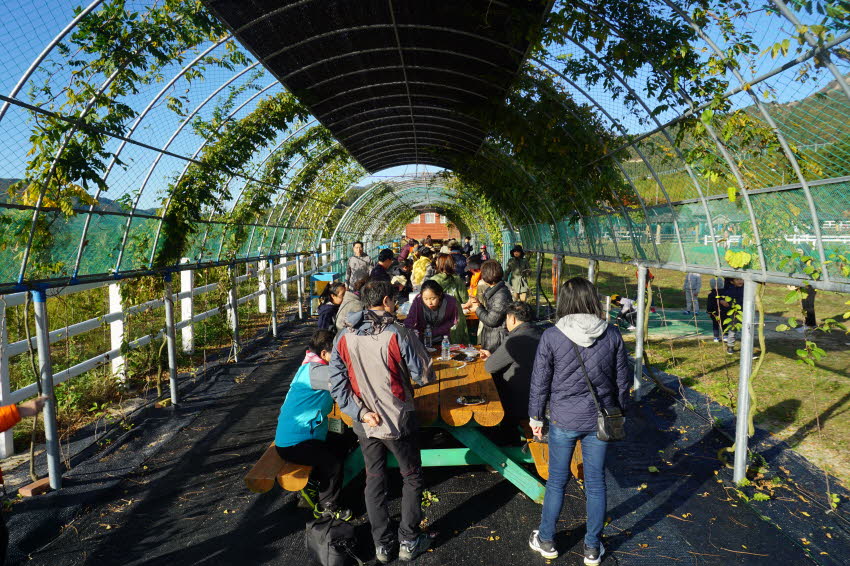 2016 문화테마여행 개최 첨부파일 : 1477839600_537_3.jpg