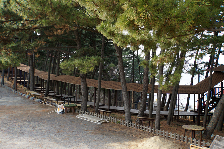 2019 광주광역시치과의사회 문화테마여행 개최 첨부파일 : 1571705653.jpg