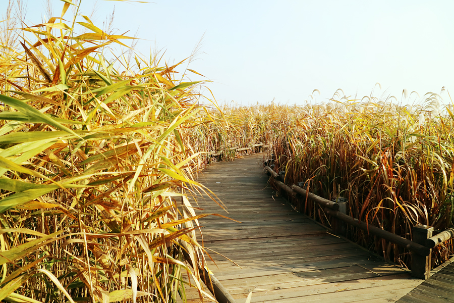 2019 광주광역시치과의사회 문화테마여행 개최 첨부파일 : 1571705653_1.jpg