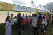 국민건강보험공단 2016 시도민 가족사랑 건강걷기대회 참석